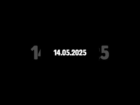 14.05.2025 🕸️⏳Le guide ULTIME d’élevage de la Phidippus regius.